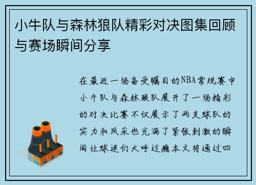 小牛队与森林狼队精彩对决图集回顾与赛场瞬间分享